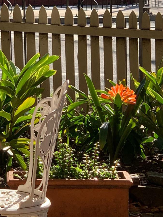 Burwood Bed And Breakfast Sydney Exterior photo